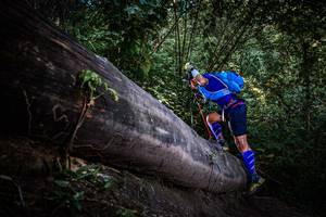 BIB: 
                            <button type="button" onclick="openModal(13519594)" class="btn btn-primary btn-sm float-right btn-popup" data-toggle="modal" data-target=".modal-high-quality">
                        <i class="fas fa-shopping-cart"></i> Add to Cart
                    </button>
                                            <button type="button" onclick="isThisMe(13519594, true)" class="btn btn-success btn-sm float-right btn-popup btn-isme hidden" data-toggle="tooltip" data-placement="bottom" title="นี่คือรูปของคุณใช่ไหม คลิกที่นี่เพื่อเอาเข้าอัลบั้ม">
                        <i class="fas fa-plus"></i> Add to album
                    </button>
                    <button type="button" onclick="isThisMe(13519594, false)" class="btn btn-warning btn-sm float-right btn-popup btn-isnotme hidden">
                        <i class="fas fa-ban"></i> Remove from album
                    </button>