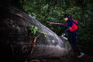 BIB: 
                            <button type="button" onclick="openModal(13519284)" class="btn btn-primary btn-sm float-right btn-popup" data-toggle="modal" data-target=".modal-high-quality">
                        <i class="fas fa-shopping-cart"></i> Add to Cart
                    </button>
                                            <button type="button" onclick="isThisMe(13519284, true)" class="btn btn-success btn-sm float-right btn-popup btn-isme hidden" data-toggle="tooltip" data-placement="bottom" title="นี่คือรูปของคุณใช่ไหม คลิกที่นี่เพื่อเอาเข้าอัลบั้ม">
                        <i class="fas fa-plus"></i> Add to album
                    </button>
                    <button type="button" onclick="isThisMe(13519284, false)" class="btn btn-warning btn-sm float-right btn-popup btn-isnotme hidden">
                        <i class="fas fa-ban"></i> Remove from album
                    </button>