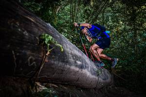 BIB: 
                            <button type="button" onclick="openModal(13519479)" class="btn btn-primary btn-sm float-right btn-popup" data-toggle="modal" data-target=".modal-high-quality">
                        <i class="fas fa-shopping-cart"></i> Add to Cart
                    </button>
                                            <button type="button" onclick="isThisMe(13519479, true)" class="btn btn-success btn-sm float-right btn-popup btn-isme hidden" data-toggle="tooltip" data-placement="bottom" title="นี่คือรูปของคุณใช่ไหม คลิกที่นี่เพื่อเอาเข้าอัลบั้ม">
                        <i class="fas fa-plus"></i> Add to album
                    </button>
                    <button type="button" onclick="isThisMe(13519479, false)" class="btn btn-warning btn-sm float-right btn-popup btn-isnotme hidden">
                        <i class="fas fa-ban"></i> Remove from album
                    </button>