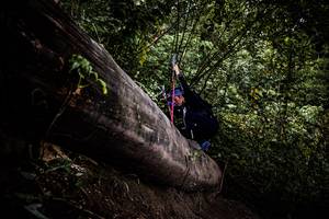 BIB: 
                            <button type="button" onclick="openModal(13525459)" class="btn btn-primary btn-sm float-right btn-popup" data-toggle="modal" data-target=".modal-high-quality">
                        <i class="fas fa-shopping-cart"></i> Add to Cart
                    </button>
                                            <button type="button" onclick="isThisMe(13525459, true)" class="btn btn-success btn-sm float-right btn-popup btn-isme hidden" data-toggle="tooltip" data-placement="bottom" title="นี่คือรูปของคุณใช่ไหม คลิกที่นี่เพื่อเอาเข้าอัลบั้ม">
                        <i class="fas fa-plus"></i> Add to album
                    </button>
                    <button type="button" onclick="isThisMe(13525459, false)" class="btn btn-warning btn-sm float-right btn-popup btn-isnotme hidden">
                        <i class="fas fa-ban"></i> Remove from album
                    </button>