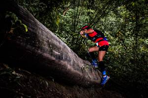 BIB: 
                            <button type="button" onclick="openModal(13525604)" class="btn btn-primary btn-sm float-right btn-popup" data-toggle="modal" data-target=".modal-high-quality">
                        <i class="fas fa-shopping-cart"></i> Add to Cart
                    </button>
                                            <button type="button" onclick="isThisMe(13525604, true)" class="btn btn-success btn-sm float-right btn-popup btn-isme hidden" data-toggle="tooltip" data-placement="bottom" title="นี่คือรูปของคุณใช่ไหม คลิกที่นี่เพื่อเอาเข้าอัลบั้ม">
                        <i class="fas fa-plus"></i> Add to album
                    </button>
                    <button type="button" onclick="isThisMe(13525604, false)" class="btn btn-warning btn-sm float-right btn-popup btn-isnotme hidden">
                        <i class="fas fa-ban"></i> Remove from album
                    </button>