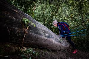 BIB: 
                            <button type="button" onclick="openModal(13520054)" class="btn btn-primary btn-sm float-right btn-popup" data-toggle="modal" data-target=".modal-high-quality">
                        <i class="fas fa-shopping-cart"></i> Add to Cart
                    </button>
                                            <button type="button" onclick="isThisMe(13520054, true)" class="btn btn-success btn-sm float-right btn-popup btn-isme hidden" data-toggle="tooltip" data-placement="bottom" title="นี่คือรูปของคุณใช่ไหม คลิกที่นี่เพื่อเอาเข้าอัลบั้ม">
                        <i class="fas fa-plus"></i> Add to album
                    </button>
                    <button type="button" onclick="isThisMe(13520054, false)" class="btn btn-warning btn-sm float-right btn-popup btn-isnotme hidden">
                        <i class="fas fa-ban"></i> Remove from album
                    </button>