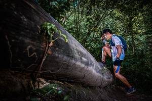 BIB: 
                            <button type="button" onclick="openModal(13519662)" class="btn btn-primary btn-sm float-right btn-popup" data-toggle="modal" data-target=".modal-high-quality">
                        <i class="fas fa-shopping-cart"></i> Add to Cart
                    </button>
                                            <button type="button" onclick="isThisMe(13519662, true)" class="btn btn-success btn-sm float-right btn-popup btn-isme hidden" data-toggle="tooltip" data-placement="bottom" title="นี่คือรูปของคุณใช่ไหม คลิกที่นี่เพื่อเอาเข้าอัลบั้ม">
                        <i class="fas fa-plus"></i> Add to album
                    </button>
                    <button type="button" onclick="isThisMe(13519662, false)" class="btn btn-warning btn-sm float-right btn-popup btn-isnotme hidden">
                        <i class="fas fa-ban"></i> Remove from album
                    </button>