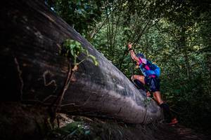 BIB: 
                            <button type="button" onclick="openModal(13519643)" class="btn btn-primary btn-sm float-right btn-popup" data-toggle="modal" data-target=".modal-high-quality">
                        <i class="fas fa-shopping-cart"></i> Add to Cart
                    </button>
                                            <button type="button" onclick="isThisMe(13519643, true)" class="btn btn-success btn-sm float-right btn-popup btn-isme hidden" data-toggle="tooltip" data-placement="bottom" title="นี่คือรูปของคุณใช่ไหม คลิกที่นี่เพื่อเอาเข้าอัลบั้ม">
                        <i class="fas fa-plus"></i> Add to album
                    </button>
                    <button type="button" onclick="isThisMe(13519643, false)" class="btn btn-warning btn-sm float-right btn-popup btn-isnotme hidden">
                        <i class="fas fa-ban"></i> Remove from album
                    </button>