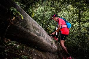 BIB: 
                            <button type="button" onclick="openModal(13523816)" class="btn btn-primary btn-sm float-right btn-popup" data-toggle="modal" data-target=".modal-high-quality">
                        <i class="fas fa-shopping-cart"></i> Add to Cart
                    </button>
                                            <button type="button" onclick="isThisMe(13523816, true)" class="btn btn-success btn-sm float-right btn-popup btn-isme hidden" data-toggle="tooltip" data-placement="bottom" title="นี่คือรูปของคุณใช่ไหม คลิกที่นี่เพื่อเอาเข้าอัลบั้ม">
                        <i class="fas fa-plus"></i> Add to album
                    </button>
                    <button type="button" onclick="isThisMe(13523816, false)" class="btn btn-warning btn-sm float-right btn-popup btn-isnotme hidden">
                        <i class="fas fa-ban"></i> Remove from album
                    </button>