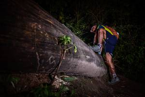 BIB: 
                            <button type="button" onclick="openModal(13517807)" class="btn btn-primary btn-sm float-right btn-popup" data-toggle="modal" data-target=".modal-high-quality">
                        <i class="fas fa-shopping-cart"></i> Add to Cart
                    </button>
                                            <button type="button" onclick="isThisMe(13517807, true)" class="btn btn-success btn-sm float-right btn-popup btn-isme hidden" data-toggle="tooltip" data-placement="bottom" title="นี่คือรูปของคุณใช่ไหม คลิกที่นี่เพื่อเอาเข้าอัลบั้ม">
                        <i class="fas fa-plus"></i> Add to album
                    </button>
                    <button type="button" onclick="isThisMe(13517807, false)" class="btn btn-warning btn-sm float-right btn-popup btn-isnotme hidden">
                        <i class="fas fa-ban"></i> Remove from album
                    </button>