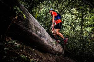 BIB: 
                            <button type="button" onclick="openModal(13525217)" class="btn btn-primary btn-sm float-right btn-popup" data-toggle="modal" data-target=".modal-high-quality">
                        <i class="fas fa-shopping-cart"></i> Add to Cart
                    </button>
                                            <button type="button" onclick="isThisMe(13525217, true)" class="btn btn-success btn-sm float-right btn-popup btn-isme hidden" data-toggle="tooltip" data-placement="bottom" title="นี่คือรูปของคุณใช่ไหม คลิกที่นี่เพื่อเอาเข้าอัลบั้ม">
                        <i class="fas fa-plus"></i> Add to album
                    </button>
                    <button type="button" onclick="isThisMe(13525217, false)" class="btn btn-warning btn-sm float-right btn-popup btn-isnotme hidden">
                        <i class="fas fa-ban"></i> Remove from album
                    </button>