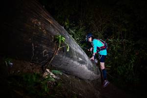 BIB: 
                            <button type="button" onclick="openModal(13518576)" class="btn btn-primary btn-sm float-right btn-popup" data-toggle="modal" data-target=".modal-high-quality">
                        <i class="fas fa-shopping-cart"></i> Add to Cart
                    </button>
                                            <button type="button" onclick="isThisMe(13518576, true)" class="btn btn-success btn-sm float-right btn-popup btn-isme hidden" data-toggle="tooltip" data-placement="bottom" title="นี่คือรูปของคุณใช่ไหม คลิกที่นี่เพื่อเอาเข้าอัลบั้ม">
                        <i class="fas fa-plus"></i> Add to album
                    </button>
                    <button type="button" onclick="isThisMe(13518576, false)" class="btn btn-warning btn-sm float-right btn-popup btn-isnotme hidden">
                        <i class="fas fa-ban"></i> Remove from album
                    </button>