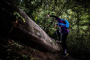 BIB: 
                            <button type="button" onclick="openModal(13525323)" class="btn btn-primary btn-sm float-right btn-popup" data-toggle="modal" data-target=".modal-high-quality">
                        <i class="fas fa-shopping-cart"></i> Add to Cart
                    </button>
                                            <button type="button" onclick="isThisMe(13525323, true)" class="btn btn-success btn-sm float-right btn-popup btn-isme hidden" data-toggle="tooltip" data-placement="bottom" title="นี่คือรูปของคุณใช่ไหม คลิกที่นี่เพื่อเอาเข้าอัลบั้ม">
                        <i class="fas fa-plus"></i> Add to album
                    </button>
                    <button type="button" onclick="isThisMe(13525323, false)" class="btn btn-warning btn-sm float-right btn-popup btn-isnotme hidden">
                        <i class="fas fa-ban"></i> Remove from album
                    </button>