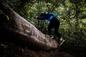 BIB: 
                            <button type="button" onclick="openModal(13525685)" class="btn btn-primary btn-sm float-right btn-popup" data-toggle="modal" data-target=".modal-high-quality">
                        <i class="fas fa-shopping-cart"></i> Add to Cart
                    </button>
                                            <button type="button" onclick="isThisMe(13525685, true)" class="btn btn-success btn-sm float-right btn-popup btn-isme hidden" data-toggle="tooltip" data-placement="bottom" title="นี่คือรูปของคุณใช่ไหม คลิกที่นี่เพื่อเอาเข้าอัลบั้ม">
                        <i class="fas fa-plus"></i> Add to album
                    </button>
                    <button type="button" onclick="isThisMe(13525685, false)" class="btn btn-warning btn-sm float-right btn-popup btn-isnotme hidden">
                        <i class="fas fa-ban"></i> Remove from album
                    </button>