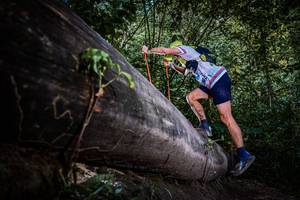 BIB: 
                            <button type="button" onclick="openModal(13519670)" class="btn btn-primary btn-sm float-right btn-popup" data-toggle="modal" data-target=".modal-high-quality">
                        <i class="fas fa-shopping-cart"></i> Add to Cart
                    </button>
                                            <button type="button" onclick="isThisMe(13519670, true)" class="btn btn-success btn-sm float-right btn-popup btn-isme hidden" data-toggle="tooltip" data-placement="bottom" title="นี่คือรูปของคุณใช่ไหม คลิกที่นี่เพื่อเอาเข้าอัลบั้ม">
                        <i class="fas fa-plus"></i> Add to album
                    </button>
                    <button type="button" onclick="isThisMe(13519670, false)" class="btn btn-warning btn-sm float-right btn-popup btn-isnotme hidden">
                        <i class="fas fa-ban"></i> Remove from album
                    </button>