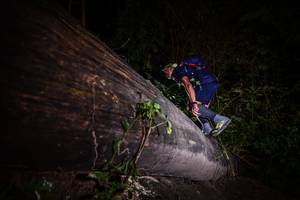 BIB: 
                            <button type="button" onclick="openModal(13517612)" class="btn btn-primary btn-sm float-right btn-popup" data-toggle="modal" data-target=".modal-high-quality">
                        <i class="fas fa-shopping-cart"></i> Add to Cart
                    </button>
                                            <button type="button" onclick="isThisMe(13517612, true)" class="btn btn-success btn-sm float-right btn-popup btn-isme hidden" data-toggle="tooltip" data-placement="bottom" title="นี่คือรูปของคุณใช่ไหม คลิกที่นี่เพื่อเอาเข้าอัลบั้ม">
                        <i class="fas fa-plus"></i> Add to album
                    </button>
                    <button type="button" onclick="isThisMe(13517612, false)" class="btn btn-warning btn-sm float-right btn-popup btn-isnotme hidden">
                        <i class="fas fa-ban"></i> Remove from album
                    </button>