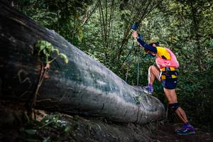 BIB: 
                            <button type="button" onclick="openModal(13519973)" class="btn btn-primary btn-sm float-right btn-popup" data-toggle="modal" data-target=".modal-high-quality">
                        <i class="fas fa-shopping-cart"></i> Add to Cart
                    </button>
                                            <button type="button" onclick="isThisMe(13519973, true)" class="btn btn-success btn-sm float-right btn-popup btn-isme hidden" data-toggle="tooltip" data-placement="bottom" title="นี่คือรูปของคุณใช่ไหม คลิกที่นี่เพื่อเอาเข้าอัลบั้ม">
                        <i class="fas fa-plus"></i> Add to album
                    </button>
                    <button type="button" onclick="isThisMe(13519973, false)" class="btn btn-warning btn-sm float-right btn-popup btn-isnotme hidden">
                        <i class="fas fa-ban"></i> Remove from album
                    </button>