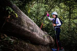 BIB: 
                            <button type="button" onclick="openModal(13523767)" class="btn btn-primary btn-sm float-right btn-popup" data-toggle="modal" data-target=".modal-high-quality">
                        <i class="fas fa-shopping-cart"></i> Add to Cart
                    </button>
                                            <button type="button" onclick="isThisMe(13523767, true)" class="btn btn-success btn-sm float-right btn-popup btn-isme hidden" data-toggle="tooltip" data-placement="bottom" title="นี่คือรูปของคุณใช่ไหม คลิกที่นี่เพื่อเอาเข้าอัลบั้ม">
                        <i class="fas fa-plus"></i> Add to album
                    </button>
                    <button type="button" onclick="isThisMe(13523767, false)" class="btn btn-warning btn-sm float-right btn-popup btn-isnotme hidden">
                        <i class="fas fa-ban"></i> Remove from album
                    </button>