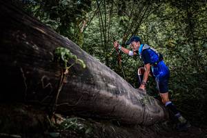 BIB: 
                            <button type="button" onclick="openModal(13522619)" class="btn btn-primary btn-sm float-right btn-popup" data-toggle="modal" data-target=".modal-high-quality">
                        <i class="fas fa-shopping-cart"></i> Add to Cart
                    </button>
                                            <button type="button" onclick="isThisMe(13522619, true)" class="btn btn-success btn-sm float-right btn-popup btn-isme hidden" data-toggle="tooltip" data-placement="bottom" title="นี่คือรูปของคุณใช่ไหม คลิกที่นี่เพื่อเอาเข้าอัลบั้ม">
                        <i class="fas fa-plus"></i> Add to album
                    </button>
                    <button type="button" onclick="isThisMe(13522619, false)" class="btn btn-warning btn-sm float-right btn-popup btn-isnotme hidden">
                        <i class="fas fa-ban"></i> Remove from album
                    </button>