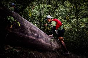 BIB: 
                            <button type="button" onclick="openModal(13525384)" class="btn btn-primary btn-sm float-right btn-popup" data-toggle="modal" data-target=".modal-high-quality">
                        <i class="fas fa-shopping-cart"></i> Add to Cart
                    </button>
                                            <button type="button" onclick="isThisMe(13525384, true)" class="btn btn-success btn-sm float-right btn-popup btn-isme hidden" data-toggle="tooltip" data-placement="bottom" title="นี่คือรูปของคุณใช่ไหม คลิกที่นี่เพื่อเอาเข้าอัลบั้ม">
                        <i class="fas fa-plus"></i> Add to album
                    </button>
                    <button type="button" onclick="isThisMe(13525384, false)" class="btn btn-warning btn-sm float-right btn-popup btn-isnotme hidden">
                        <i class="fas fa-ban"></i> Remove from album
                    </button>