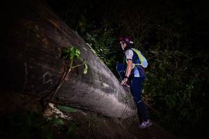 BIB: 
                            <button type="button" onclick="openModal(13518046)" class="btn btn-primary btn-sm float-right btn-popup" data-toggle="modal" data-target=".modal-high-quality">
                        <i class="fas fa-shopping-cart"></i> Add to Cart
                    </button>
                                            <button type="button" onclick="isThisMe(13518046, true)" class="btn btn-success btn-sm float-right btn-popup btn-isme hidden" data-toggle="tooltip" data-placement="bottom" title="นี่คือรูปของคุณใช่ไหม คลิกที่นี่เพื่อเอาเข้าอัลบั้ม">
                        <i class="fas fa-plus"></i> Add to album
                    </button>
                    <button type="button" onclick="isThisMe(13518046, false)" class="btn btn-warning btn-sm float-right btn-popup btn-isnotme hidden">
                        <i class="fas fa-ban"></i> Remove from album
                    </button>