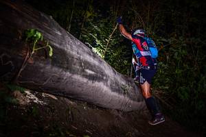 BIB: 
                            <button type="button" onclick="openModal(13518876)" class="btn btn-primary btn-sm float-right btn-popup" data-toggle="modal" data-target=".modal-high-quality">
                        <i class="fas fa-shopping-cart"></i> Add to Cart
                    </button>
                                            <button type="button" onclick="isThisMe(13518876, true)" class="btn btn-success btn-sm float-right btn-popup btn-isme hidden" data-toggle="tooltip" data-placement="bottom" title="นี่คือรูปของคุณใช่ไหม คลิกที่นี่เพื่อเอาเข้าอัลบั้ม">
                        <i class="fas fa-plus"></i> Add to album
                    </button>
                    <button type="button" onclick="isThisMe(13518876, false)" class="btn btn-warning btn-sm float-right btn-popup btn-isnotme hidden">
                        <i class="fas fa-ban"></i> Remove from album
                    </button>