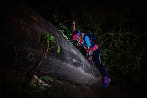 BIB: 
                            <button type="button" onclick="openModal(13517955)" class="btn btn-primary btn-sm float-right btn-popup" data-toggle="modal" data-target=".modal-high-quality">
                        <i class="fas fa-shopping-cart"></i> Add to Cart
                    </button>
                                            <button type="button" onclick="isThisMe(13517955, true)" class="btn btn-success btn-sm float-right btn-popup btn-isme hidden" data-toggle="tooltip" data-placement="bottom" title="นี่คือรูปของคุณใช่ไหม คลิกที่นี่เพื่อเอาเข้าอัลบั้ม">
                        <i class="fas fa-plus"></i> Add to album
                    </button>
                    <button type="button" onclick="isThisMe(13517955, false)" class="btn btn-warning btn-sm float-right btn-popup btn-isnotme hidden">
                        <i class="fas fa-ban"></i> Remove from album
                    </button>