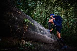 BIB: 
                            <button type="button" onclick="openModal(13519393)" class="btn btn-primary btn-sm float-right btn-popup" data-toggle="modal" data-target=".modal-high-quality">
                        <i class="fas fa-shopping-cart"></i> Add to Cart
                    </button>
                                            <button type="button" onclick="isThisMe(13519393, true)" class="btn btn-success btn-sm float-right btn-popup btn-isme hidden" data-toggle="tooltip" data-placement="bottom" title="นี่คือรูปของคุณใช่ไหม คลิกที่นี่เพื่อเอาเข้าอัลบั้ม">
                        <i class="fas fa-plus"></i> Add to album
                    </button>
                    <button type="button" onclick="isThisMe(13519393, false)" class="btn btn-warning btn-sm float-right btn-popup btn-isnotme hidden">
                        <i class="fas fa-ban"></i> Remove from album
                    </button>