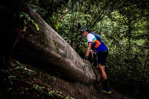 BIB: 
                            <button type="button" onclick="openModal(13525335)" class="btn btn-primary btn-sm float-right btn-popup" data-toggle="modal" data-target=".modal-high-quality">
                        <i class="fas fa-shopping-cart"></i> Add to Cart
                    </button>
                                            <button type="button" onclick="isThisMe(13525335, true)" class="btn btn-success btn-sm float-right btn-popup btn-isme hidden" data-toggle="tooltip" data-placement="bottom" title="นี่คือรูปของคุณใช่ไหม คลิกที่นี่เพื่อเอาเข้าอัลบั้ม">
                        <i class="fas fa-plus"></i> Add to album
                    </button>
                    <button type="button" onclick="isThisMe(13525335, false)" class="btn btn-warning btn-sm float-right btn-popup btn-isnotme hidden">
                        <i class="fas fa-ban"></i> Remove from album
                    </button>