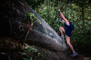 BIB: 
                            <button type="button" onclick="openModal(13519818)" class="btn btn-primary btn-sm float-right btn-popup" data-toggle="modal" data-target=".modal-high-quality">
                        <i class="fas fa-shopping-cart"></i> Add to Cart
                    </button>
                                            <button type="button" onclick="isThisMe(13519818, true)" class="btn btn-success btn-sm float-right btn-popup btn-isme hidden" data-toggle="tooltip" data-placement="bottom" title="นี่คือรูปของคุณใช่ไหม คลิกที่นี่เพื่อเอาเข้าอัลบั้ม">
                        <i class="fas fa-plus"></i> Add to album
                    </button>
                    <button type="button" onclick="isThisMe(13519818, false)" class="btn btn-warning btn-sm float-right btn-popup btn-isnotme hidden">
                        <i class="fas fa-ban"></i> Remove from album
                    </button>