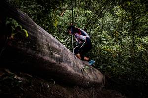 BIB: 
                            <button type="button" onclick="openModal(13525597)" class="btn btn-primary btn-sm float-right btn-popup" data-toggle="modal" data-target=".modal-high-quality">
                        <i class="fas fa-shopping-cart"></i> Add to Cart
                    </button>
                                            <button type="button" onclick="isThisMe(13525597, true)" class="btn btn-success btn-sm float-right btn-popup btn-isme hidden" data-toggle="tooltip" data-placement="bottom" title="นี่คือรูปของคุณใช่ไหม คลิกที่นี่เพื่อเอาเข้าอัลบั้ม">
                        <i class="fas fa-plus"></i> Add to album
                    </button>
                    <button type="button" onclick="isThisMe(13525597, false)" class="btn btn-warning btn-sm float-right btn-popup btn-isnotme hidden">
                        <i class="fas fa-ban"></i> Remove from album
                    </button>