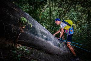 BIB: 
                            <button type="button" onclick="openModal(13519586)" class="btn btn-primary btn-sm float-right btn-popup" data-toggle="modal" data-target=".modal-high-quality">
                        <i class="fas fa-shopping-cart"></i> Add to Cart
                    </button>
                                            <button type="button" onclick="isThisMe(13519586, true)" class="btn btn-success btn-sm float-right btn-popup btn-isme hidden" data-toggle="tooltip" data-placement="bottom" title="นี่คือรูปของคุณใช่ไหม คลิกที่นี่เพื่อเอาเข้าอัลบั้ม">
                        <i class="fas fa-plus"></i> Add to album
                    </button>
                    <button type="button" onclick="isThisMe(13519586, false)" class="btn btn-warning btn-sm float-right btn-popup btn-isnotme hidden">
                        <i class="fas fa-ban"></i> Remove from album
                    </button>