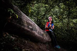 BIB: 
                            <button type="button" onclick="openModal(13525415)" class="btn btn-primary btn-sm float-right btn-popup" data-toggle="modal" data-target=".modal-high-quality">
                        <i class="fas fa-shopping-cart"></i> Add to Cart
                    </button>
                                            <button type="button" onclick="isThisMe(13525415, true)" class="btn btn-success btn-sm float-right btn-popup btn-isme hidden" data-toggle="tooltip" data-placement="bottom" title="นี่คือรูปของคุณใช่ไหม คลิกที่นี่เพื่อเอาเข้าอัลบั้ม">
                        <i class="fas fa-plus"></i> Add to album
                    </button>
                    <button type="button" onclick="isThisMe(13525415, false)" class="btn btn-warning btn-sm float-right btn-popup btn-isnotme hidden">
                        <i class="fas fa-ban"></i> Remove from album
                    </button>