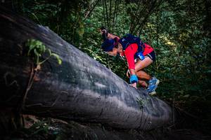 BIB: 
                            <button type="button" onclick="openModal(13519531)" class="btn btn-primary btn-sm float-right btn-popup" data-toggle="modal" data-target=".modal-high-quality">
                        <i class="fas fa-shopping-cart"></i> Add to Cart
                    </button>
                                            <button type="button" onclick="isThisMe(13519531, true)" class="btn btn-success btn-sm float-right btn-popup btn-isme hidden" data-toggle="tooltip" data-placement="bottom" title="นี่คือรูปของคุณใช่ไหม คลิกที่นี่เพื่อเอาเข้าอัลบั้ม">
                        <i class="fas fa-plus"></i> Add to album
                    </button>
                    <button type="button" onclick="isThisMe(13519531, false)" class="btn btn-warning btn-sm float-right btn-popup btn-isnotme hidden">
                        <i class="fas fa-ban"></i> Remove from album
                    </button>