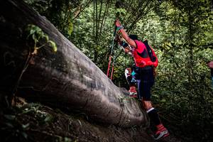 BIB: 
                            <button type="button" onclick="openModal(13523056)" class="btn btn-primary btn-sm float-right btn-popup" data-toggle="modal" data-target=".modal-high-quality">
                        <i class="fas fa-shopping-cart"></i> Add to Cart
                    </button>
                                            <button type="button" onclick="isThisMe(13523056, true)" class="btn btn-success btn-sm float-right btn-popup btn-isme hidden" data-toggle="tooltip" data-placement="bottom" title="นี่คือรูปของคุณใช่ไหม คลิกที่นี่เพื่อเอาเข้าอัลบั้ม">
                        <i class="fas fa-plus"></i> Add to album
                    </button>
                    <button type="button" onclick="isThisMe(13523056, false)" class="btn btn-warning btn-sm float-right btn-popup btn-isnotme hidden">
                        <i class="fas fa-ban"></i> Remove from album
                    </button>