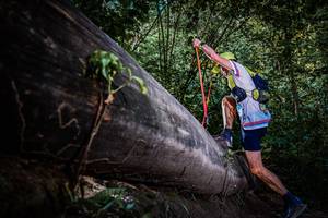 BIB: 
                            <button type="button" onclick="openModal(13519668)" class="btn btn-primary btn-sm float-right btn-popup" data-toggle="modal" data-target=".modal-high-quality">
                        <i class="fas fa-shopping-cart"></i> Add to Cart
                    </button>
                                            <button type="button" onclick="isThisMe(13519668, true)" class="btn btn-success btn-sm float-right btn-popup btn-isme hidden" data-toggle="tooltip" data-placement="bottom" title="นี่คือรูปของคุณใช่ไหม คลิกที่นี่เพื่อเอาเข้าอัลบั้ม">
                        <i class="fas fa-plus"></i> Add to album
                    </button>
                    <button type="button" onclick="isThisMe(13519668, false)" class="btn btn-warning btn-sm float-right btn-popup btn-isnotme hidden">
                        <i class="fas fa-ban"></i> Remove from album
                    </button>