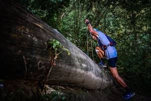 BIB: 
                            <button type="button" onclick="openModal(13519487)" class="btn btn-primary btn-sm float-right btn-popup" data-toggle="modal" data-target=".modal-high-quality">
                        <i class="fas fa-shopping-cart"></i> Add to Cart
                    </button>
                                            <button type="button" onclick="isThisMe(13519487, true)" class="btn btn-success btn-sm float-right btn-popup btn-isme hidden" data-toggle="tooltip" data-placement="bottom" title="นี่คือรูปของคุณใช่ไหม คลิกที่นี่เพื่อเอาเข้าอัลบั้ม">
                        <i class="fas fa-plus"></i> Add to album
                    </button>
                    <button type="button" onclick="isThisMe(13519487, false)" class="btn btn-warning btn-sm float-right btn-popup btn-isnotme hidden">
                        <i class="fas fa-ban"></i> Remove from album
                    </button>