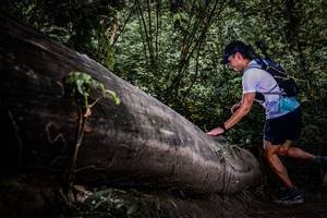 BIB: 
                            <button type="button" onclick="openModal(13522736)" class="btn btn-primary btn-sm float-right btn-popup" data-toggle="modal" data-target=".modal-high-quality">
                        <i class="fas fa-shopping-cart"></i> Add to Cart
                    </button>
                                            <button type="button" onclick="isThisMe(13522736, true)" class="btn btn-success btn-sm float-right btn-popup btn-isme hidden" data-toggle="tooltip" data-placement="bottom" title="นี่คือรูปของคุณใช่ไหม คลิกที่นี่เพื่อเอาเข้าอัลบั้ม">
                        <i class="fas fa-plus"></i> Add to album
                    </button>
                    <button type="button" onclick="isThisMe(13522736, false)" class="btn btn-warning btn-sm float-right btn-popup btn-isnotme hidden">
                        <i class="fas fa-ban"></i> Remove from album
                    </button>