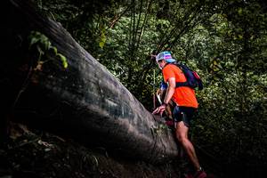 BIB: 
                            <button type="button" onclick="openModal(13525482)" class="btn btn-primary btn-sm float-right btn-popup" data-toggle="modal" data-target=".modal-high-quality">
                        <i class="fas fa-shopping-cart"></i> Add to Cart
                    </button>
                                            <button type="button" onclick="isThisMe(13525482, true)" class="btn btn-success btn-sm float-right btn-popup btn-isme hidden" data-toggle="tooltip" data-placement="bottom" title="นี่คือรูปของคุณใช่ไหม คลิกที่นี่เพื่อเอาเข้าอัลบั้ม">
                        <i class="fas fa-plus"></i> Add to album
                    </button>
                    <button type="button" onclick="isThisMe(13525482, false)" class="btn btn-warning btn-sm float-right btn-popup btn-isnotme hidden">
                        <i class="fas fa-ban"></i> Remove from album
                    </button>