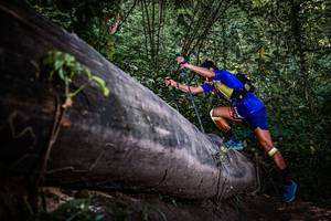 BIB: 
                            <button type="button" onclick="openModal(13519718)" class="btn btn-primary btn-sm float-right btn-popup" data-toggle="modal" data-target=".modal-high-quality">
                        <i class="fas fa-shopping-cart"></i> Add to Cart
                    </button>
                                            <button type="button" onclick="isThisMe(13519718, true)" class="btn btn-success btn-sm float-right btn-popup btn-isme hidden" data-toggle="tooltip" data-placement="bottom" title="นี่คือรูปของคุณใช่ไหม คลิกที่นี่เพื่อเอาเข้าอัลบั้ม">
                        <i class="fas fa-plus"></i> Add to album
                    </button>
                    <button type="button" onclick="isThisMe(13519718, false)" class="btn btn-warning btn-sm float-right btn-popup btn-isnotme hidden">
                        <i class="fas fa-ban"></i> Remove from album
                    </button>