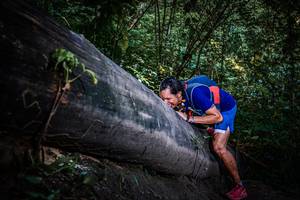 BIB: 
                            <button type="button" onclick="openModal(13519527)" class="btn btn-primary btn-sm float-right btn-popup" data-toggle="modal" data-target=".modal-high-quality">
                        <i class="fas fa-shopping-cart"></i> Add to Cart
                    </button>
                                            <button type="button" onclick="isThisMe(13519527, true)" class="btn btn-success btn-sm float-right btn-popup btn-isme hidden" data-toggle="tooltip" data-placement="bottom" title="นี่คือรูปของคุณใช่ไหม คลิกที่นี่เพื่อเอาเข้าอัลบั้ม">
                        <i class="fas fa-plus"></i> Add to album
                    </button>
                    <button type="button" onclick="isThisMe(13519527, false)" class="btn btn-warning btn-sm float-right btn-popup btn-isnotme hidden">
                        <i class="fas fa-ban"></i> Remove from album
                    </button>