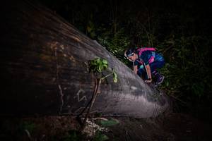 BIB: 
                            <button type="button" onclick="openModal(13517882)" class="btn btn-primary btn-sm float-right btn-popup" data-toggle="modal" data-target=".modal-high-quality">
                        <i class="fas fa-shopping-cart"></i> Add to Cart
                    </button>
                                            <button type="button" onclick="isThisMe(13517882, true)" class="btn btn-success btn-sm float-right btn-popup btn-isme hidden" data-toggle="tooltip" data-placement="bottom" title="นี่คือรูปของคุณใช่ไหม คลิกที่นี่เพื่อเอาเข้าอัลบั้ม">
                        <i class="fas fa-plus"></i> Add to album
                    </button>
                    <button type="button" onclick="isThisMe(13517882, false)" class="btn btn-warning btn-sm float-right btn-popup btn-isnotme hidden">
                        <i class="fas fa-ban"></i> Remove from album
                    </button>