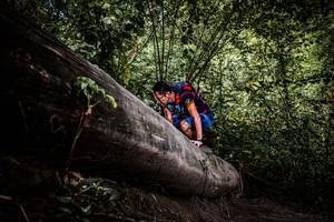 BIB: 
                            <button type="button" onclick="openModal(13523251)" class="btn btn-primary btn-sm float-right btn-popup" data-toggle="modal" data-target=".modal-high-quality">
                        <i class="fas fa-shopping-cart"></i> Add to Cart
                    </button>
                                            <button type="button" onclick="isThisMe(13523251, true)" class="btn btn-success btn-sm float-right btn-popup btn-isme hidden" data-toggle="tooltip" data-placement="bottom" title="นี่คือรูปของคุณใช่ไหม คลิกที่นี่เพื่อเอาเข้าอัลบั้ม">
                        <i class="fas fa-plus"></i> Add to album
                    </button>
                    <button type="button" onclick="isThisMe(13523251, false)" class="btn btn-warning btn-sm float-right btn-popup btn-isnotme hidden">
                        <i class="fas fa-ban"></i> Remove from album
                    </button>