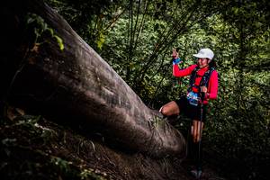 BIB: 
                            <button type="button" onclick="openModal(13525346)" class="btn btn-primary btn-sm float-right btn-popup" data-toggle="modal" data-target=".modal-high-quality">
                        <i class="fas fa-shopping-cart"></i> Add to Cart
                    </button>
                                            <button type="button" onclick="isThisMe(13525346, true)" class="btn btn-success btn-sm float-right btn-popup btn-isme hidden" data-toggle="tooltip" data-placement="bottom" title="นี่คือรูปของคุณใช่ไหม คลิกที่นี่เพื่อเอาเข้าอัลบั้ม">
                        <i class="fas fa-plus"></i> Add to album
                    </button>
                    <button type="button" onclick="isThisMe(13525346, false)" class="btn btn-warning btn-sm float-right btn-popup btn-isnotme hidden">
                        <i class="fas fa-ban"></i> Remove from album
                    </button>