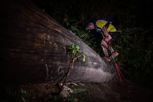 BIB: 
                            <button type="button" onclick="openModal(13517825)" class="btn btn-primary btn-sm float-right btn-popup" data-toggle="modal" data-target=".modal-high-quality">
                        <i class="fas fa-shopping-cart"></i> Add to Cart
                    </button>
                                            <button type="button" onclick="isThisMe(13517825, true)" class="btn btn-success btn-sm float-right btn-popup btn-isme hidden" data-toggle="tooltip" data-placement="bottom" title="นี่คือรูปของคุณใช่ไหม คลิกที่นี่เพื่อเอาเข้าอัลบั้ม">
                        <i class="fas fa-plus"></i> Add to album
                    </button>
                    <button type="button" onclick="isThisMe(13517825, false)" class="btn btn-warning btn-sm float-right btn-popup btn-isnotme hidden">
                        <i class="fas fa-ban"></i> Remove from album
                    </button>