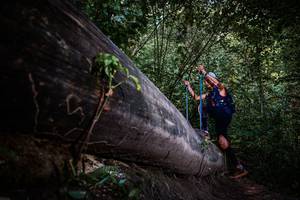 BIB: 
                            <button type="button" onclick="openModal(13519649)" class="btn btn-primary btn-sm float-right btn-popup" data-toggle="modal" data-target=".modal-high-quality">
                        <i class="fas fa-shopping-cart"></i> Add to Cart
                    </button>
                                            <button type="button" onclick="isThisMe(13519649, true)" class="btn btn-success btn-sm float-right btn-popup btn-isme hidden" data-toggle="tooltip" data-placement="bottom" title="นี่คือรูปของคุณใช่ไหม คลิกที่นี่เพื่อเอาเข้าอัลบั้ม">
                        <i class="fas fa-plus"></i> Add to album
                    </button>
                    <button type="button" onclick="isThisMe(13519649, false)" class="btn btn-warning btn-sm float-right btn-popup btn-isnotme hidden">
                        <i class="fas fa-ban"></i> Remove from album
                    </button>