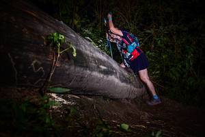 BIB: 
                            <button type="button" onclick="openModal(13518925)" class="btn btn-primary btn-sm float-right btn-popup" data-toggle="modal" data-target=".modal-high-quality">
                        <i class="fas fa-shopping-cart"></i> Add to Cart
                    </button>
                                            <button type="button" onclick="isThisMe(13518925, true)" class="btn btn-success btn-sm float-right btn-popup btn-isme hidden" data-toggle="tooltip" data-placement="bottom" title="นี่คือรูปของคุณใช่ไหม คลิกที่นี่เพื่อเอาเข้าอัลบั้ม">
                        <i class="fas fa-plus"></i> Add to album
                    </button>
                    <button type="button" onclick="isThisMe(13518925, false)" class="btn btn-warning btn-sm float-right btn-popup btn-isnotme hidden">
                        <i class="fas fa-ban"></i> Remove from album
                    </button>