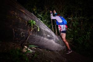 BIB: 
                            <button type="button" onclick="openModal(13518392)" class="btn btn-primary btn-sm float-right btn-popup" data-toggle="modal" data-target=".modal-high-quality">
                        <i class="fas fa-shopping-cart"></i> Add to Cart
                    </button>
                                            <button type="button" onclick="isThisMe(13518392, true)" class="btn btn-success btn-sm float-right btn-popup btn-isme hidden" data-toggle="tooltip" data-placement="bottom" title="นี่คือรูปของคุณใช่ไหม คลิกที่นี่เพื่อเอาเข้าอัลบั้ม">
                        <i class="fas fa-plus"></i> Add to album
                    </button>
                    <button type="button" onclick="isThisMe(13518392, false)" class="btn btn-warning btn-sm float-right btn-popup btn-isnotme hidden">
                        <i class="fas fa-ban"></i> Remove from album
                    </button>