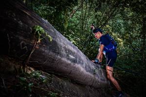 BIB: 
                            <button type="button" onclick="openModal(13519607)" class="btn btn-primary btn-sm float-right btn-popup" data-toggle="modal" data-target=".modal-high-quality">
                        <i class="fas fa-shopping-cart"></i> Add to Cart
                    </button>
                                            <button type="button" onclick="isThisMe(13519607, true)" class="btn btn-success btn-sm float-right btn-popup btn-isme hidden" data-toggle="tooltip" data-placement="bottom" title="นี่คือรูปของคุณใช่ไหม คลิกที่นี่เพื่อเอาเข้าอัลบั้ม">
                        <i class="fas fa-plus"></i> Add to album
                    </button>
                    <button type="button" onclick="isThisMe(13519607, false)" class="btn btn-warning btn-sm float-right btn-popup btn-isnotme hidden">
                        <i class="fas fa-ban"></i> Remove from album
                    </button>