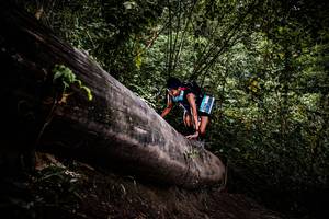 BIB: 
                            <button type="button" onclick="openModal(13525426)" class="btn btn-primary btn-sm float-right btn-popup" data-toggle="modal" data-target=".modal-high-quality">
                        <i class="fas fa-shopping-cart"></i> Add to Cart
                    </button>
                                            <button type="button" onclick="isThisMe(13525426, true)" class="btn btn-success btn-sm float-right btn-popup btn-isme hidden" data-toggle="tooltip" data-placement="bottom" title="นี่คือรูปของคุณใช่ไหม คลิกที่นี่เพื่อเอาเข้าอัลบั้ม">
                        <i class="fas fa-plus"></i> Add to album
                    </button>
                    <button type="button" onclick="isThisMe(13525426, false)" class="btn btn-warning btn-sm float-right btn-popup btn-isnotme hidden">
                        <i class="fas fa-ban"></i> Remove from album
                    </button>