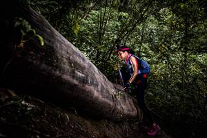 BIB: 
                            <button type="button" onclick="openModal(13525533)" class="btn btn-primary btn-sm float-right btn-popup" data-toggle="modal" data-target=".modal-high-quality">
                        <i class="fas fa-shopping-cart"></i> Add to Cart
                    </button>
                                            <button type="button" onclick="isThisMe(13525533, true)" class="btn btn-success btn-sm float-right btn-popup btn-isme hidden" data-toggle="tooltip" data-placement="bottom" title="นี่คือรูปของคุณใช่ไหม คลิกที่นี่เพื่อเอาเข้าอัลบั้ม">
                        <i class="fas fa-plus"></i> Add to album
                    </button>
                    <button type="button" onclick="isThisMe(13525533, false)" class="btn btn-warning btn-sm float-right btn-popup btn-isnotme hidden">
                        <i class="fas fa-ban"></i> Remove from album
                    </button>