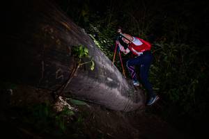 BIB: 
                            <button type="button" onclick="openModal(13518405)" class="btn btn-primary btn-sm float-right btn-popup" data-toggle="modal" data-target=".modal-high-quality">
                        <i class="fas fa-shopping-cart"></i> Add to Cart
                    </button>
                                            <button type="button" onclick="isThisMe(13518405, true)" class="btn btn-success btn-sm float-right btn-popup btn-isme hidden" data-toggle="tooltip" data-placement="bottom" title="นี่คือรูปของคุณใช่ไหม คลิกที่นี่เพื่อเอาเข้าอัลบั้ม">
                        <i class="fas fa-plus"></i> Add to album
                    </button>
                    <button type="button" onclick="isThisMe(13518405, false)" class="btn btn-warning btn-sm float-right btn-popup btn-isnotme hidden">
                        <i class="fas fa-ban"></i> Remove from album
                    </button>