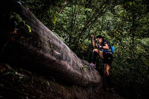 BIB: 
                            <button type="button" onclick="openModal(13525532)" class="btn btn-primary btn-sm float-right btn-popup" data-toggle="modal" data-target=".modal-high-quality">
                        <i class="fas fa-shopping-cart"></i> Add to Cart
                    </button>
                                            <button type="button" onclick="isThisMe(13525532, true)" class="btn btn-success btn-sm float-right btn-popup btn-isme hidden" data-toggle="tooltip" data-placement="bottom" title="นี่คือรูปของคุณใช่ไหม คลิกที่นี่เพื่อเอาเข้าอัลบั้ม">
                        <i class="fas fa-plus"></i> Add to album
                    </button>
                    <button type="button" onclick="isThisMe(13525532, false)" class="btn btn-warning btn-sm float-right btn-popup btn-isnotme hidden">
                        <i class="fas fa-ban"></i> Remove from album
                    </button>