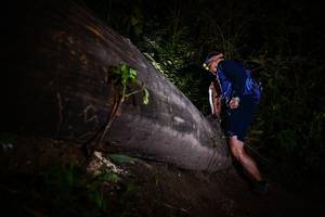 BIB: 
                            <button type="button" onclick="openModal(13518421)" class="btn btn-primary btn-sm float-right btn-popup" data-toggle="modal" data-target=".modal-high-quality">
                        <i class="fas fa-shopping-cart"></i> Add to Cart
                    </button>
                                            <button type="button" onclick="isThisMe(13518421, true)" class="btn btn-success btn-sm float-right btn-popup btn-isme hidden" data-toggle="tooltip" data-placement="bottom" title="นี่คือรูปของคุณใช่ไหม คลิกที่นี่เพื่อเอาเข้าอัลบั้ม">
                        <i class="fas fa-plus"></i> Add to album
                    </button>
                    <button type="button" onclick="isThisMe(13518421, false)" class="btn btn-warning btn-sm float-right btn-popup btn-isnotme hidden">
                        <i class="fas fa-ban"></i> Remove from album
                    </button>